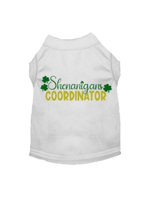 WHITE - Shenanigans Coordinator - Large