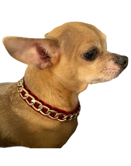 Burgundy - Gold Chain Velvet Collar - Large