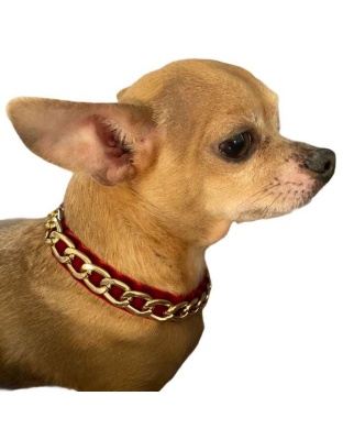 Burgundy - Gold Chain Velvet Collar - Small