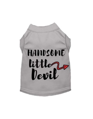 Gray - Handsome Little Devil - Small