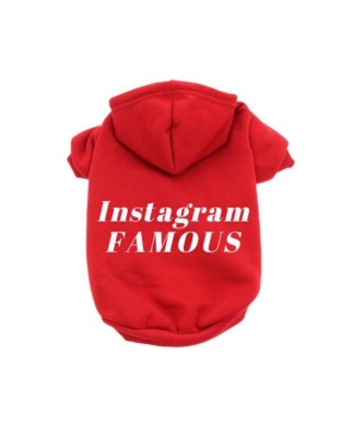 Red - IG Famous Hoodie - X Small