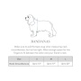 Evergreen Forest Dog Bandana - S