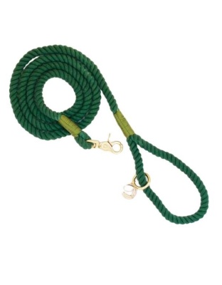 Evergreen Rope Dog Leash