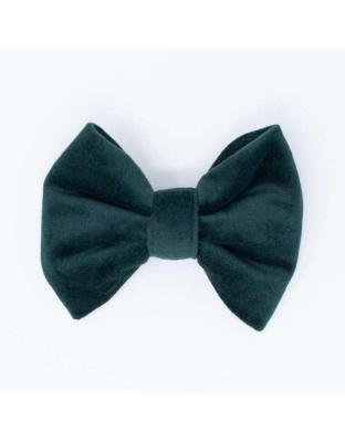 Limited Edition Velvet Evergreen Classic Dog Bow Tie - Standard