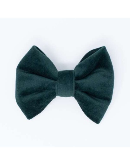 Limited Edition Velvet Evergreen Classic Dog Bow Tie - Standard