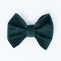 Limited Edition Velvet Evergreen Classic Dog Bow Tie - Standard
