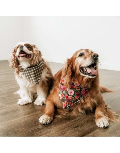 Mountain Stone Dog Bandana - S