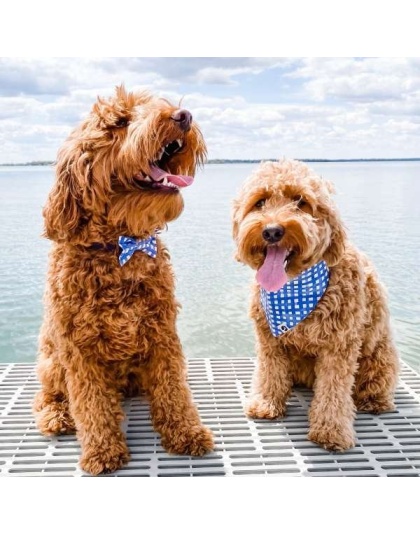 Navy Watercolor Plaid Dog Bandana - S