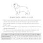 Seaside Reversible Dog Harness - XS
