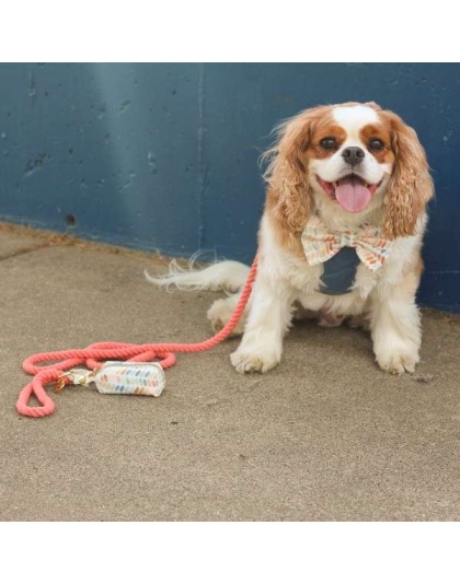 Spiced Coral Rope Dog Leash