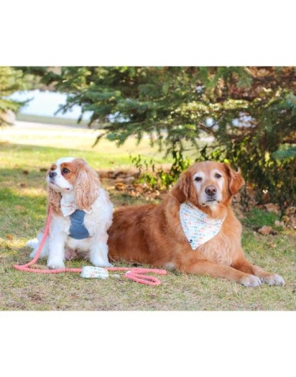 Spiced Coral Rope Dog Leash