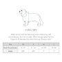 Starry Sky Classic Dog Collar - XS