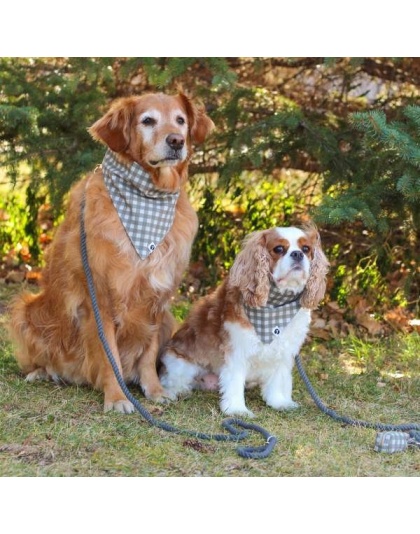 Stone Rope Dog Leash