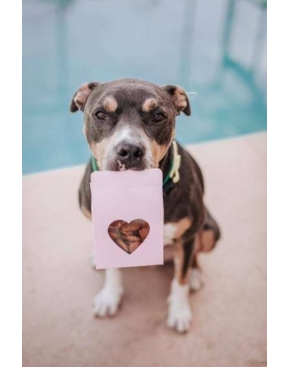 Heart(Beet) Boxes - Superfood Dog Treats