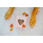 Heart(Beet) Boxes - Superfood Dog Treats