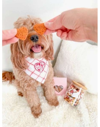 Heart(Beet) Boxes - Superfood Dog Treats