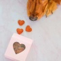 Heart(Beet) Boxes - Superfood Dog Treats