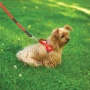 Blue - Boss Regular Leash - 3/4" x 6'