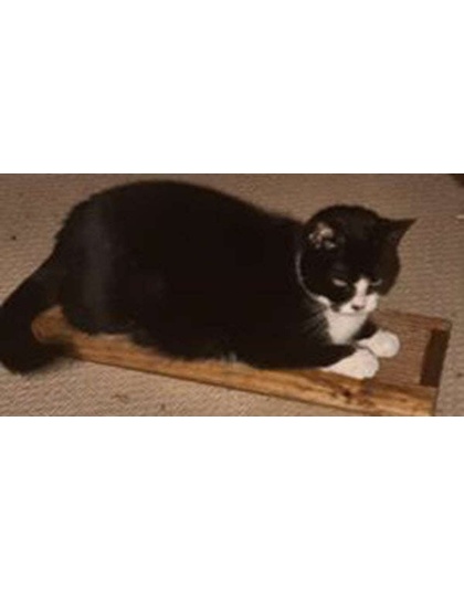 Wooden Cat Scratcher