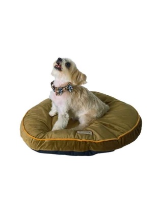 Sage Green - Armarkat Pet Bed Pad, Poly Fill Dog Cushion Bed M04