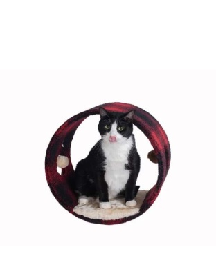 Armarkat Real Wood Cat Hideaway Tunnel, Scotch Plaid - 16"