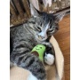 Smokey's Stash Catnip Toys-Avocado, Banana & Sisal Rope Toys