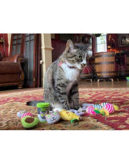 Smokey's Stash Catnip Toys-Avocado, Banana & Sisal Rope Toys