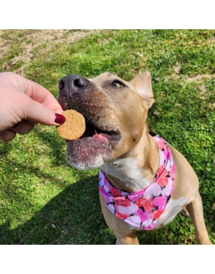 Peanut Butter Cookies - 1 lb.