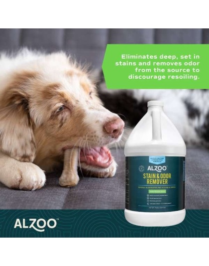 ALZOO Enzymatic Stain & Odor Remover Apple Blossom, 32oz - 32oz Apple Blossom