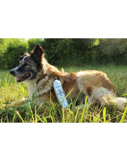Alzoo Reusabel Aluminum Bottle, 16oz