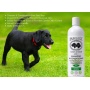 Mint - BarkLogic Clean & Clear 2 in 1 Shampoo & Conditioner