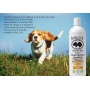 Tangerine - BarkLogic Sensitive Skin 2 in 1 Conditioning Shampoo