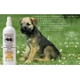 Tangerine - BarkLogic Sensitive Skin Leave In Conditioning & Detangling Spray
