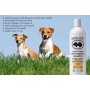 Tangerine - BarkLogic Sensitive Skin Moisturizing Shampoo