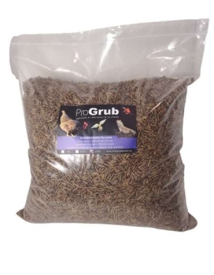 Dried Black Soldier Fly Larvae - 10lbs