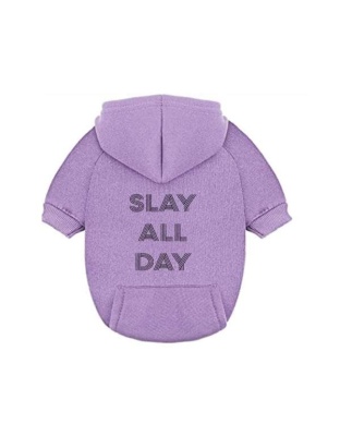 Slay All Day Dog Hoodie - Small: 2 - 5 lbs