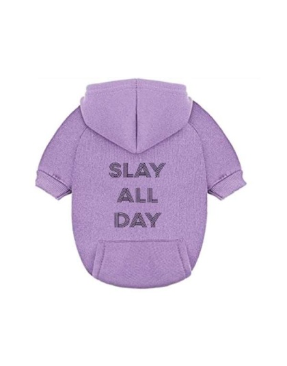 Slay All Day Dog Hoodie - Small: 2 - 5 lbs