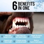 Dog Mouthwash by Puppy Community - 8 Ounce