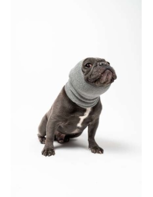 Grey - PET HOODZ DOG HOODIES FOR ANXIETY - Small