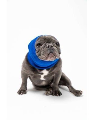 Blue - PET HOODZ DOG HOODIES FOR ANXIETY - Small