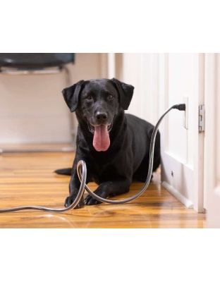 PETCORDS HEAVY DUTY 8FT CORD PROTECTOR FOR PETS MADE IN USA