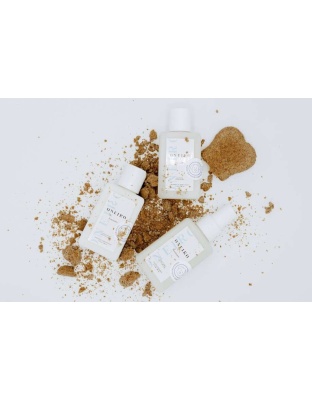 Luxury Dog Gift Bundle