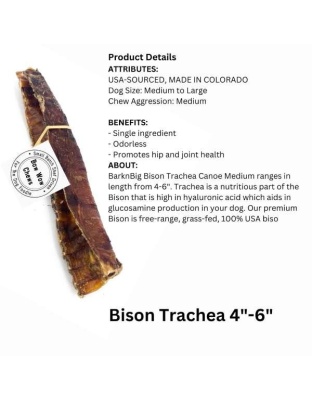 Bison Trachea Canoe