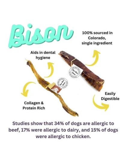 Bison Trachea Canoe