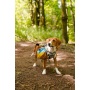 Adventurer Dog Pack (1-piece) - Small