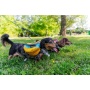 Adventurer EZ Latch Dog Pack (2-piece) - Medium