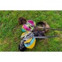 Adventurer EZ Latch Dog Pack (2-piece) - Extra Large