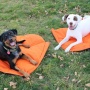 Nova Compressible Waterproof Dog Sleeping Bag - Nova Sleeping Bag