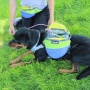 Rain Forest Hip Pack - Rain Forest
