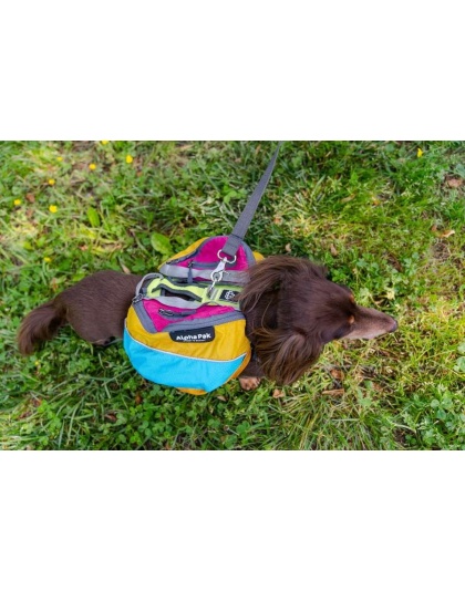 Wanderer Dog Pack (1-piece) - Small